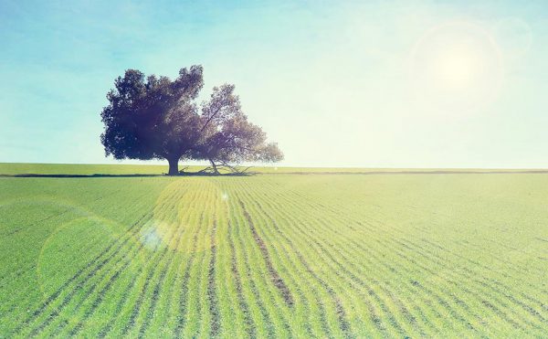 如果你的内心愿意，就有成千上万种方法，如果你的内心不愿意，就有成千上万个借口。,"If your heart is willing